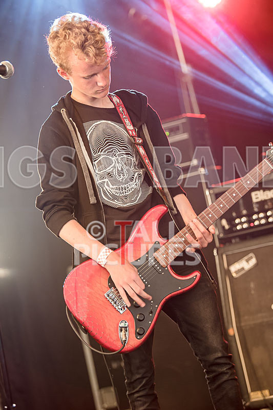 The Violet Diversion-17 - THE VIOLET DIVERSION