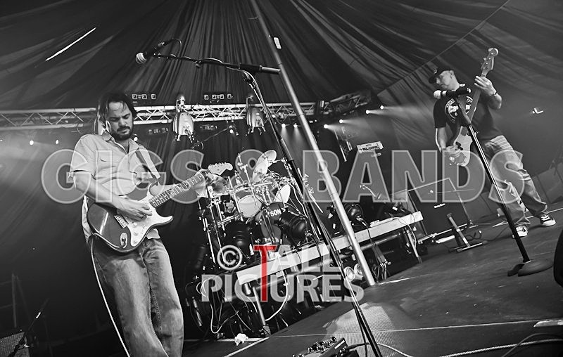 Wild Card-53 - WILD CARD at CHAOS 2010