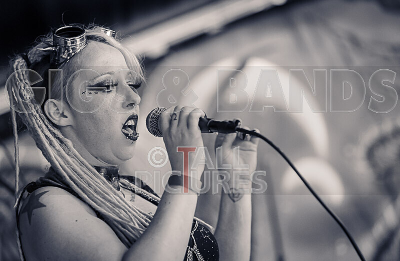 Borderline Puppets-7 - BORDERLINE PUPPETS