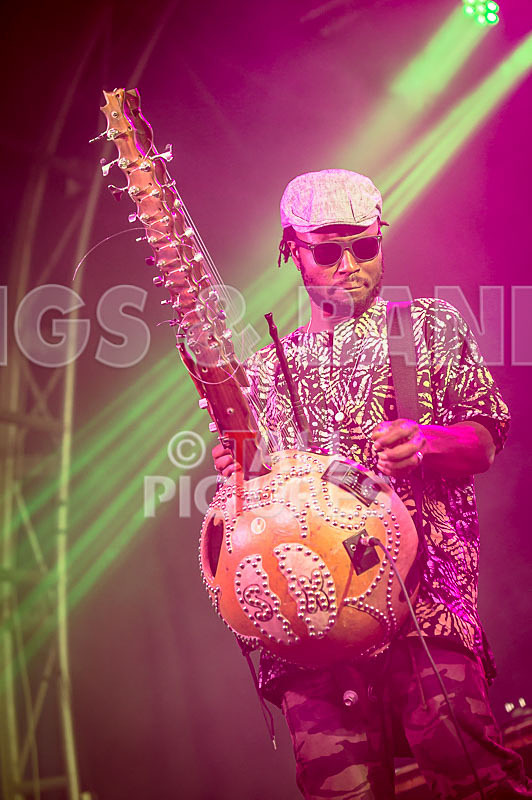 Joe Driscoll Sekou Kouyate-5 - JOE DRISCOLL & SEKOU KOUYATE