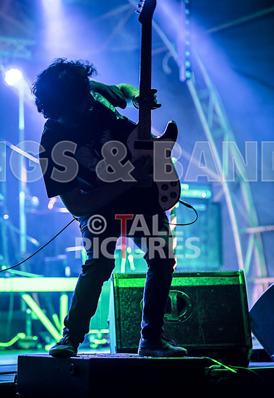 Static Alice-483 - STATIC ALICE