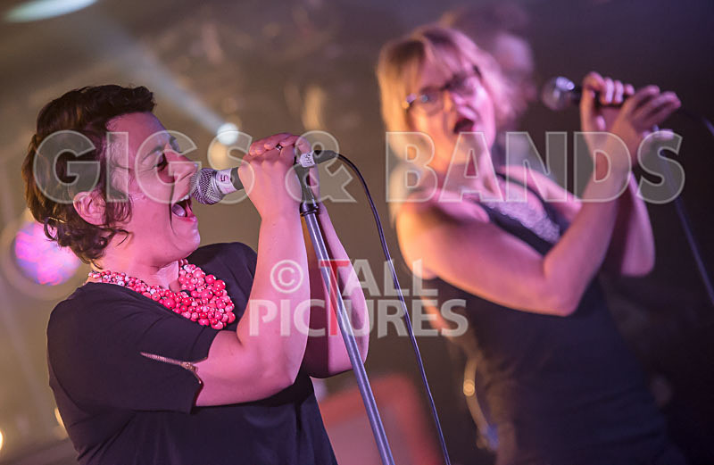 Ray and the Guns-60 - RAY AND THE GUNS