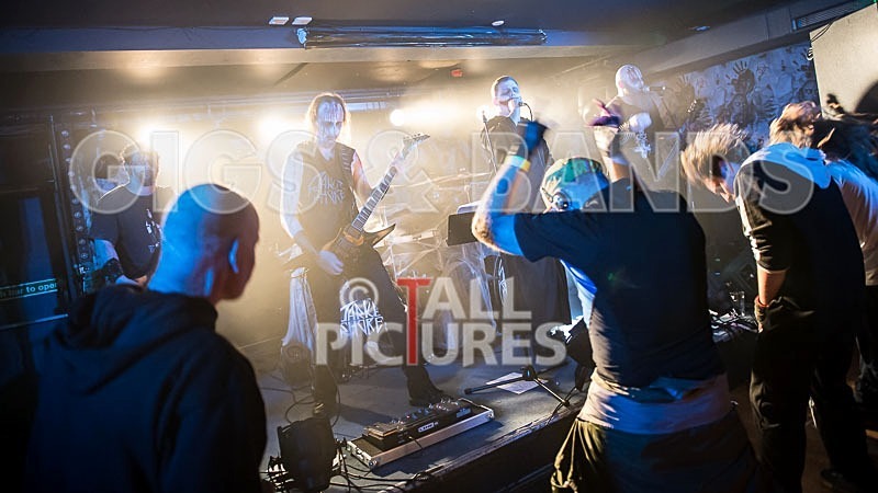 Darker Shores-46 - DARKER SHORES