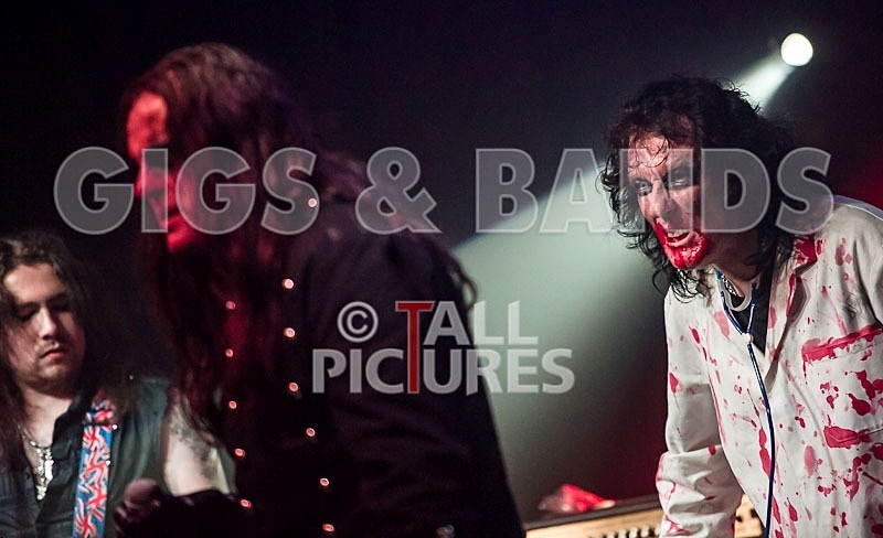 Gallus Cooper-32 - GALLUS COOPER