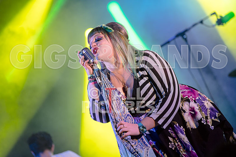 Static Alice-543 - STATIC ALICE