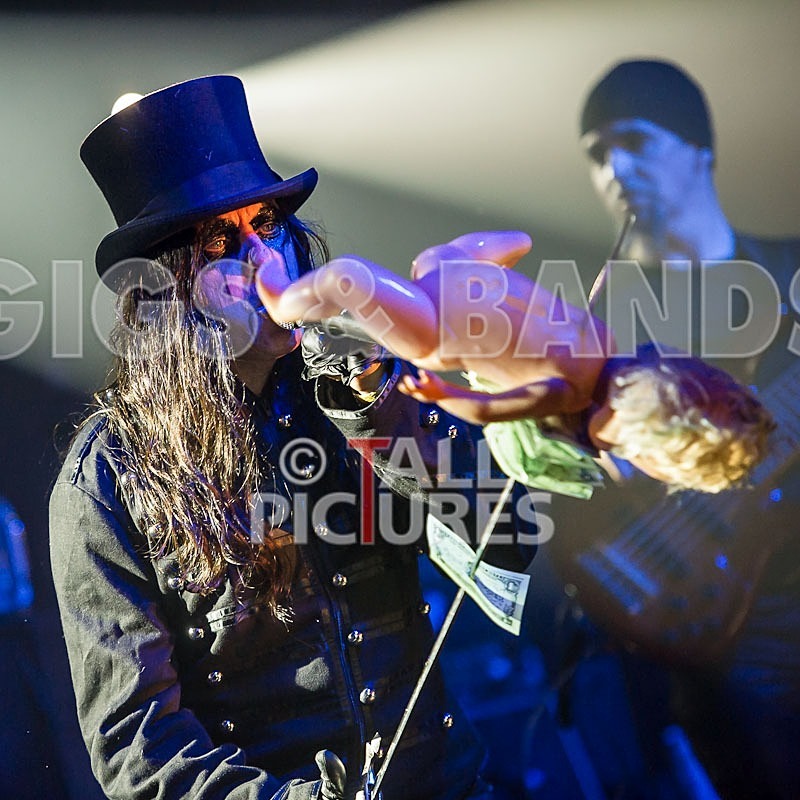 Gallus Cooper-5 - GALLUS COOPER