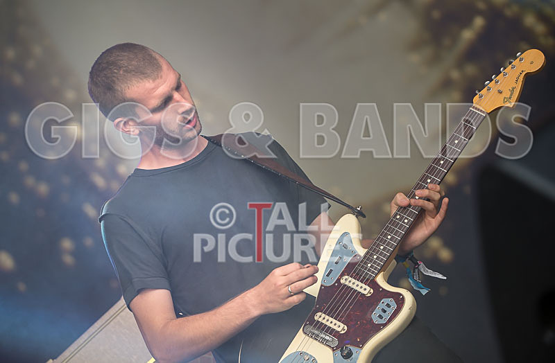 Wolf Alice-19 - WOLF ALICE