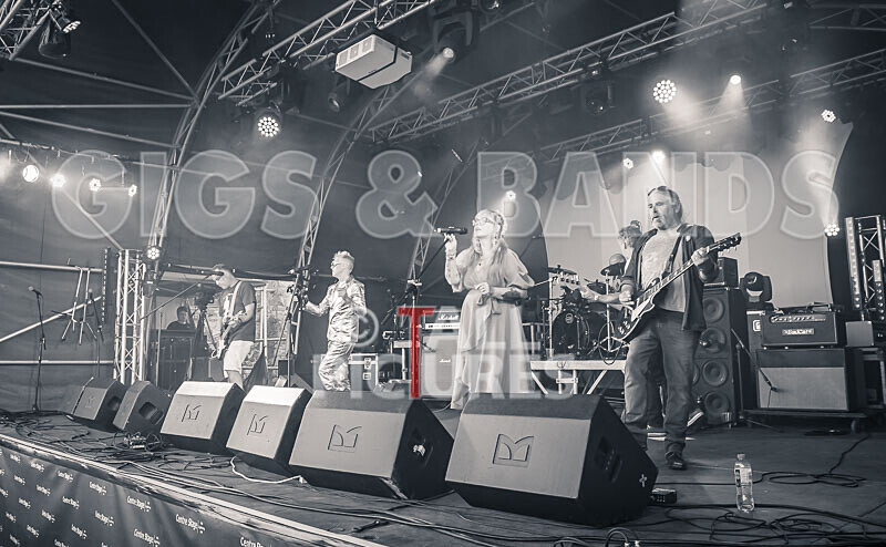 The Sacred Hearts-128 - THE SACRED HEARTS