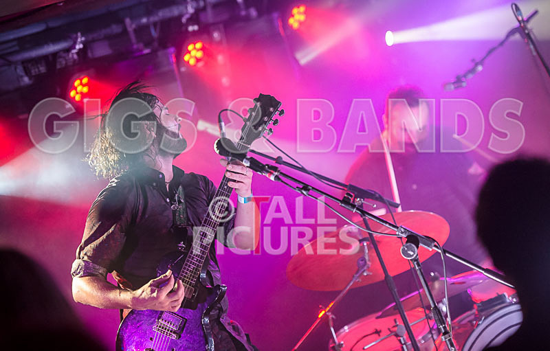 The Graveltones-69 - THE GRAVELTONES