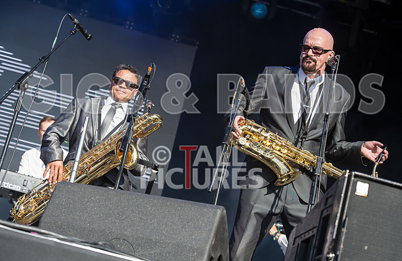 The Selecter-65 - THE SELECTER