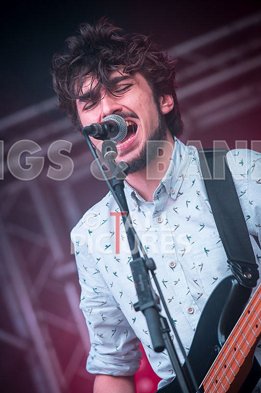 Joe Young  the Bandits-43 - JOE YOUNG & THE BANDITS