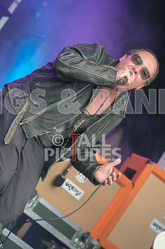 Gay Army-266 - GAY ARMY