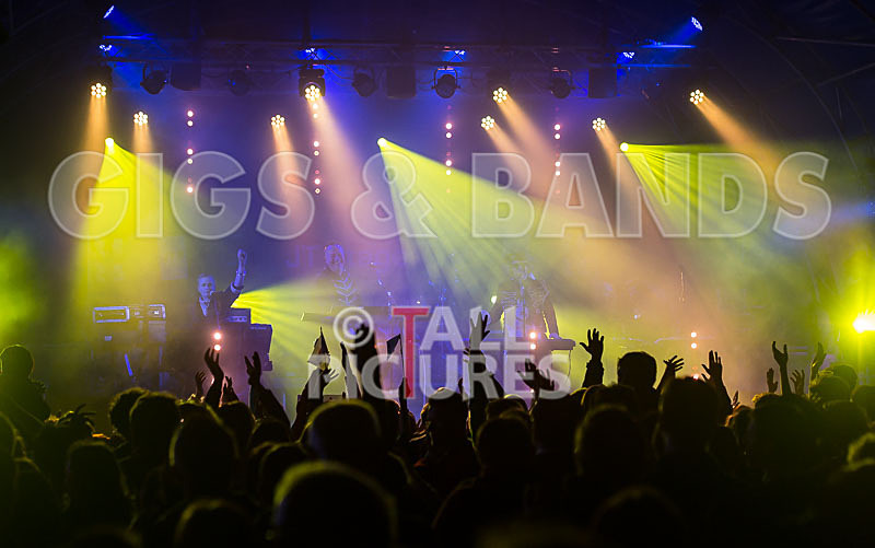 Fade to Grey-172 - FADE TO GREY