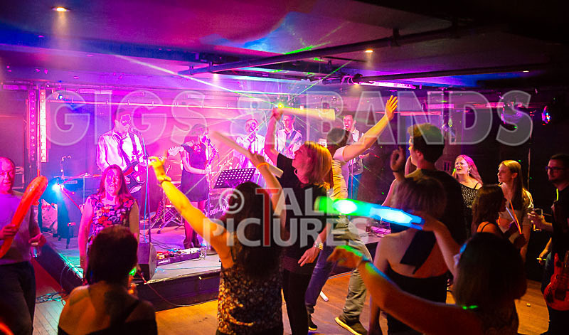 The Erawigs-53 - THE ERAWIGS