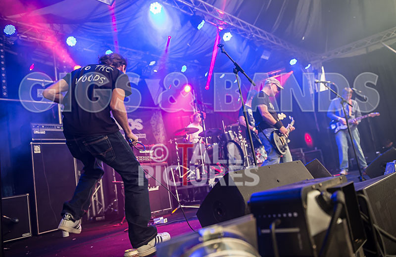 To the Woods-124 - TO THE WOODS