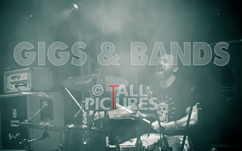 Pigsx7-111 - PIGS PIGS PIGS PIGS PIGS PIGS PIGS