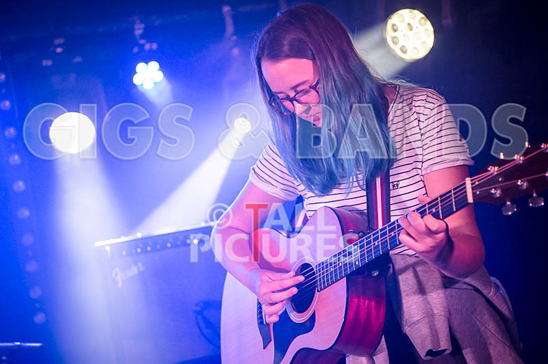 Avacado Geff-13 - AVACADO GEFF