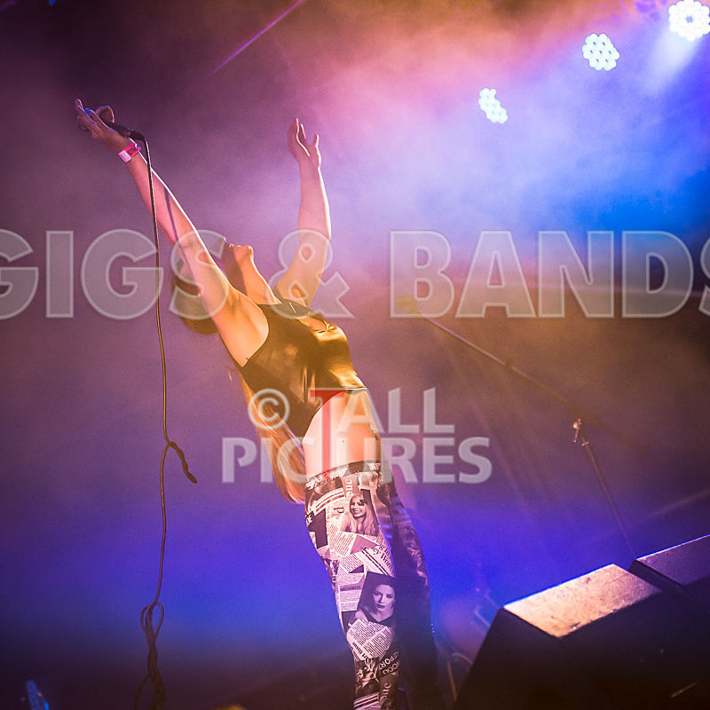 FireFarm-50 - FIREFARM