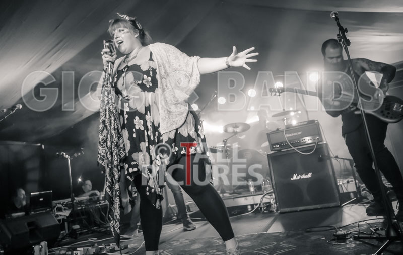 Static Alice-737 - STATIC ALICE