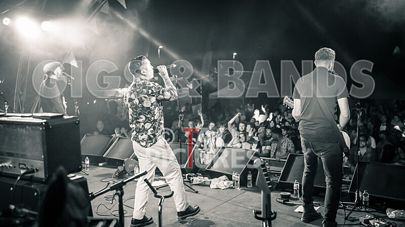 The King Blues-45 - THE KING BLUES