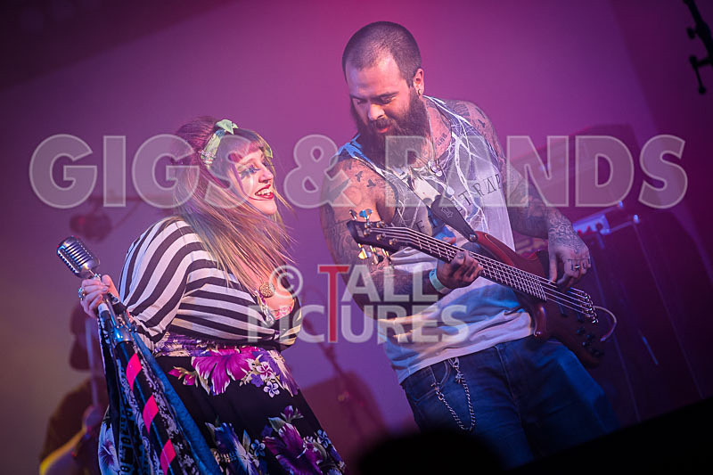 Static Alice-611 - STATIC ALICE