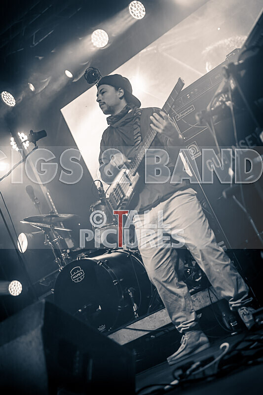 Hollie Cook-37 - HOLLIE COOK