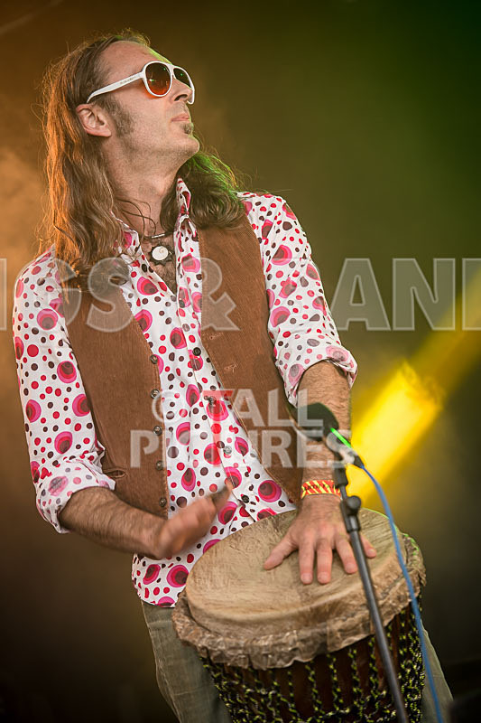 Benny the Moth-69 - BENNY THE MOTH