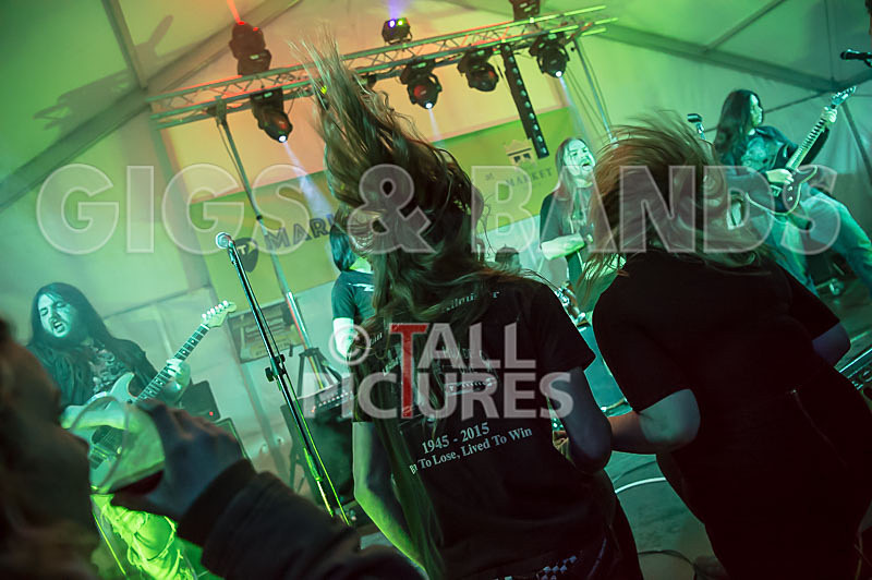 Stone Em All-335 - STONE EM ALL