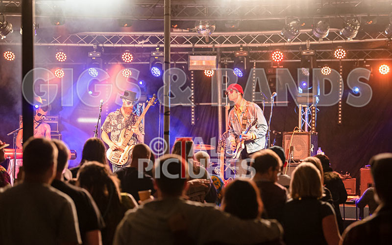 Surfin Birds-68 - SURFIN' BIRDS