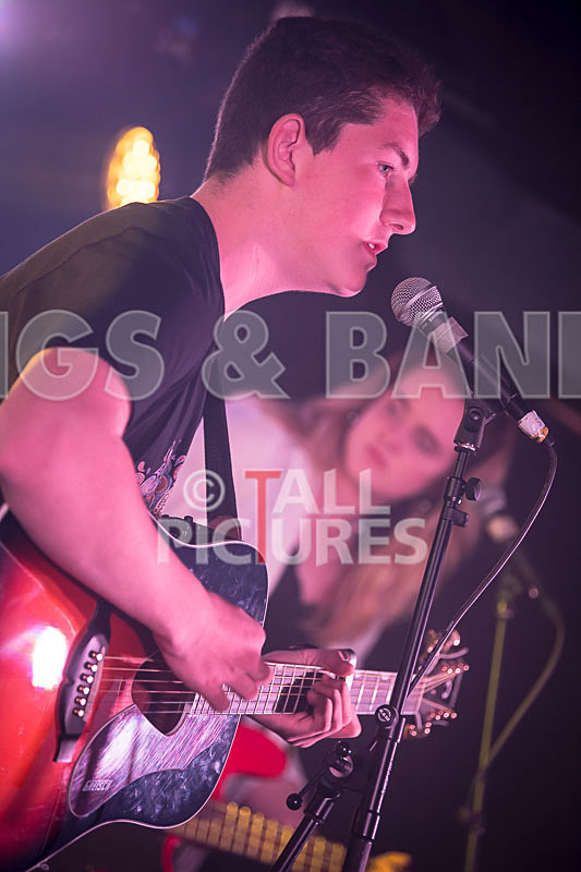 Purple Paradox-20 - PURPLE PARADOX