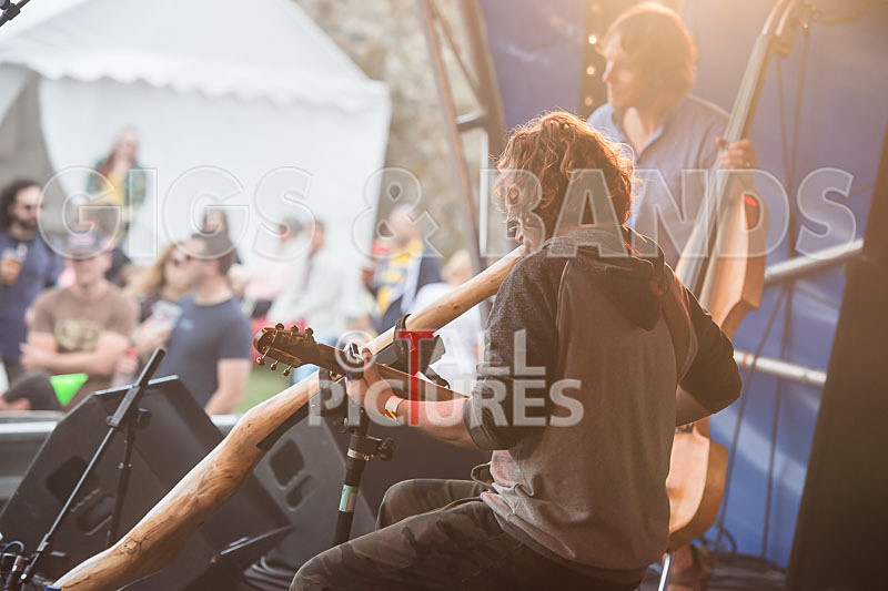Buffalo Huddleston-448 - BUFFALO HUDDLESTON