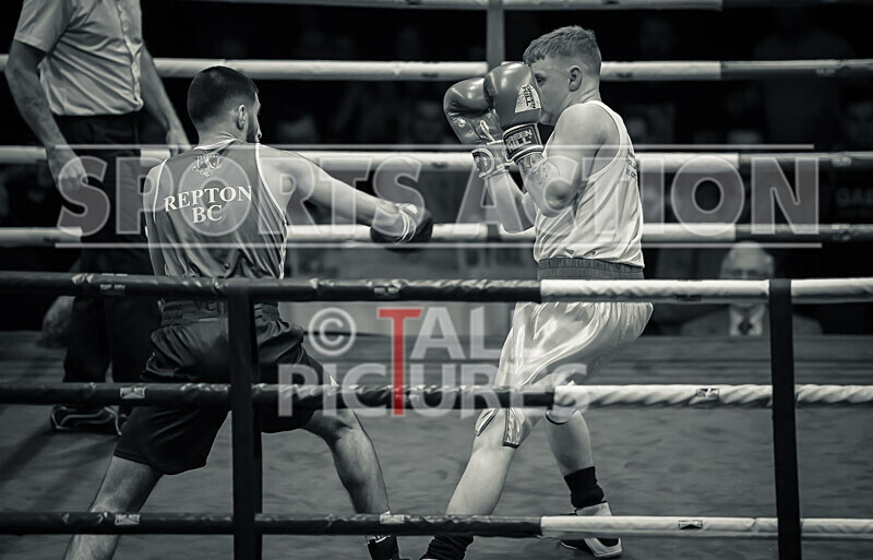 Bout 11_Jack Le Tissier v Daniel Gholizadeh-34 - Bout 11_Jack Le Tissier v Daniel Gholizadeh