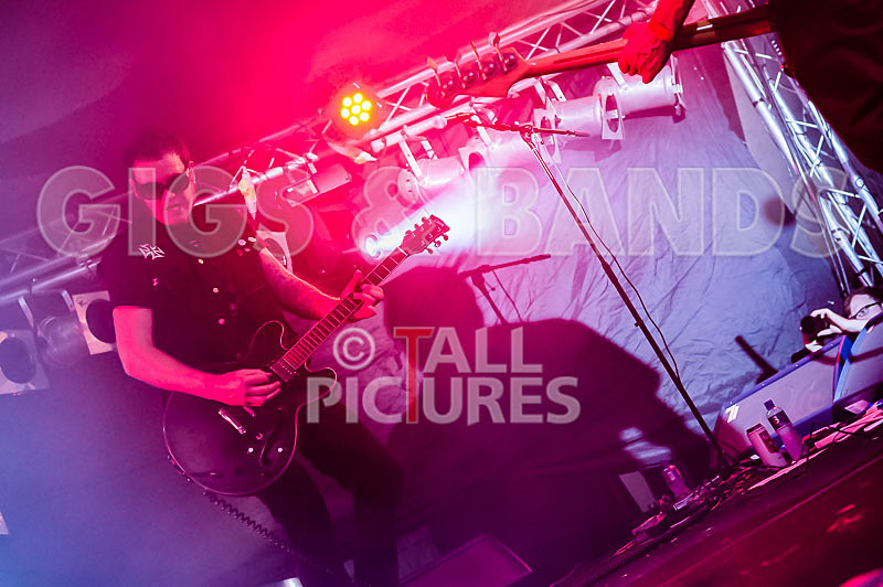 The Electric Shakes-86 - THE ELECTRIC SHAKES