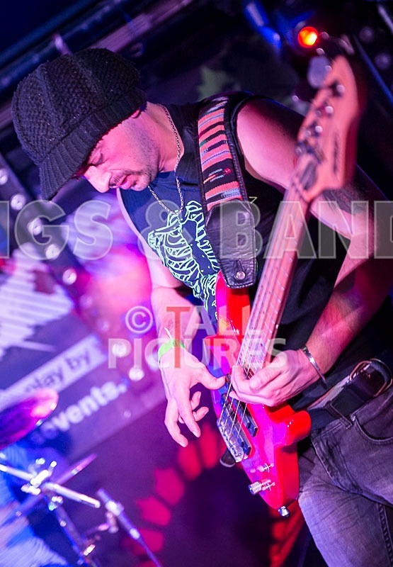 Harlequin Knights-43 - HARLEQUIN KNIGHTS