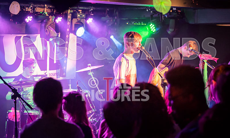 Cosmic Fish-14 - COSMIC FISH