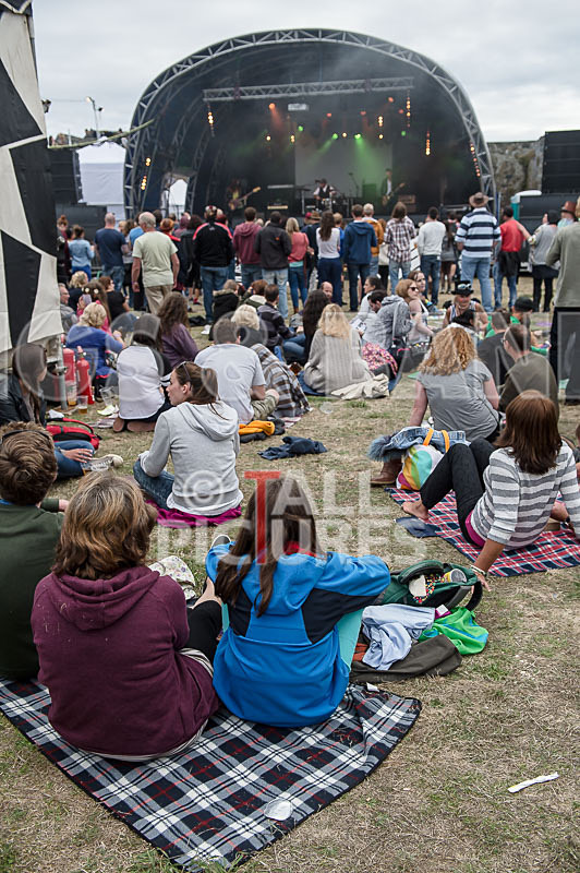 Vale Earth Fair_Atmosphere_2014-4 - VALE EARTH FAIR 2014 - THE ATMOSPHERE