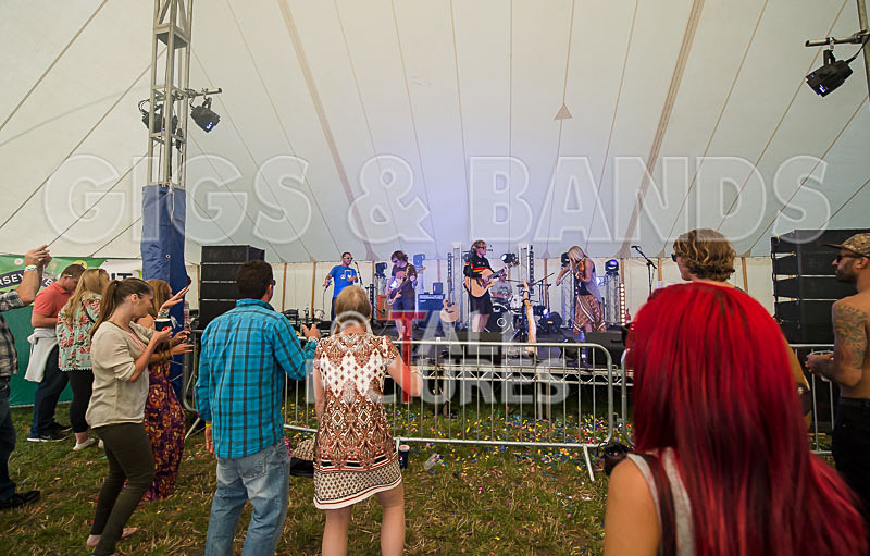 Buffalo Huddleston-264 - BUFFALO HUDDLESTON