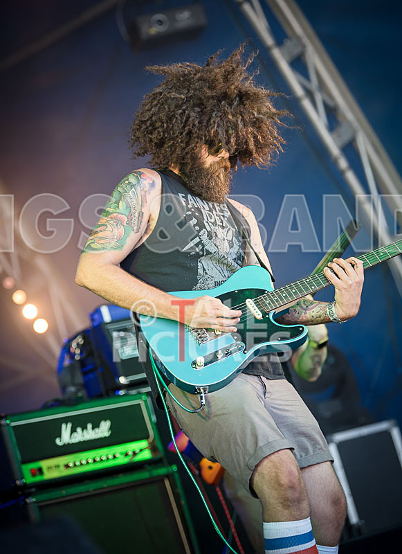 Tree House Fire-16 - TREE HOUSE FIRE