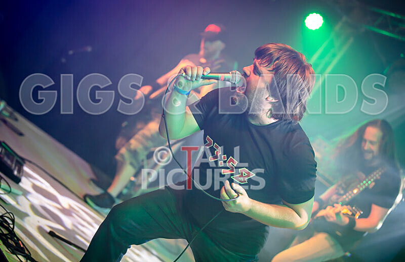 Maiden Guernsey-271 - MAIDEN GUERNSEY