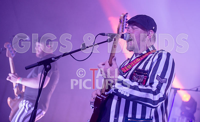 The Smooth Hounds-26 - THE SMOOTH HOUNDS