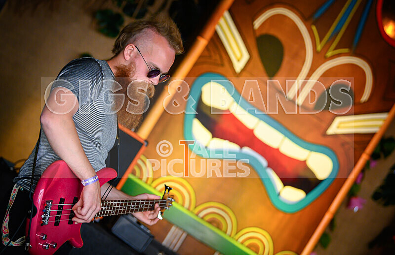 Arctic Donkeys-6 - ARCTIC DONKEYS