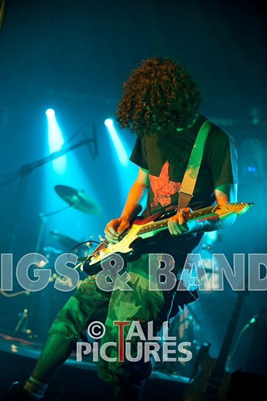 The Bridge-50 - HOGWASH 2009 - BANDS