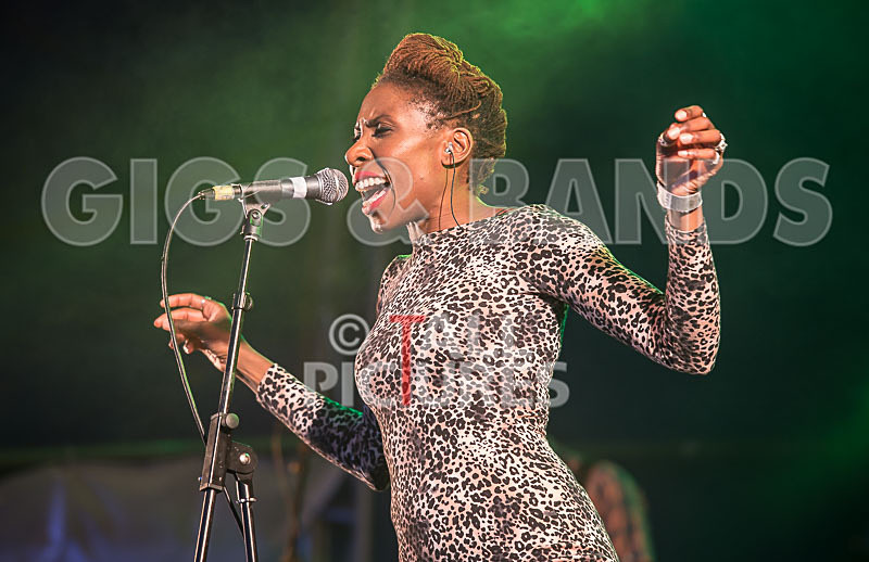 The Delegators-16 - THE DELEGATORS