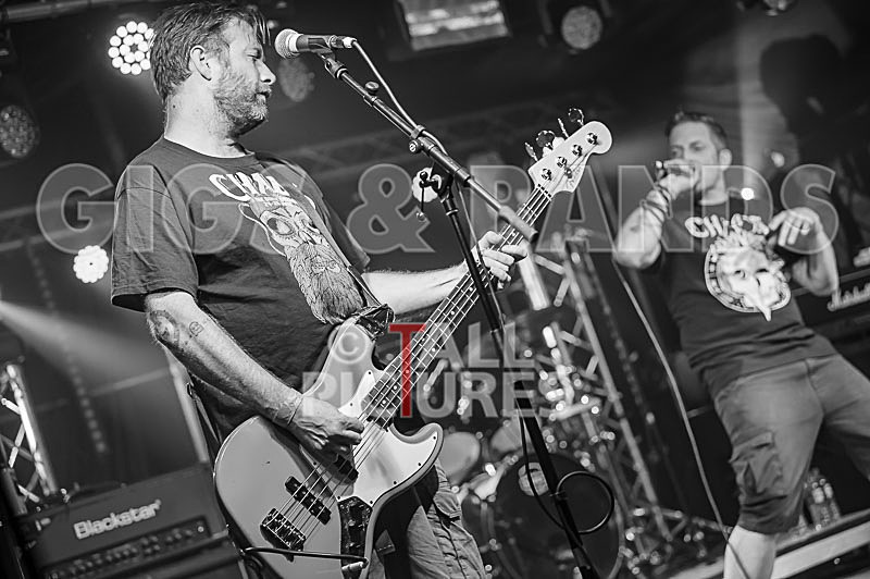 Spunge-148 - [spunge]