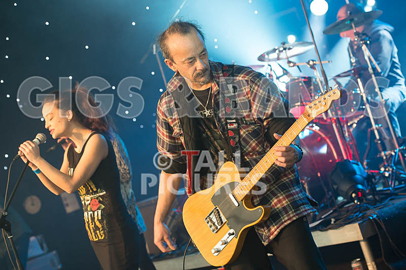 Element 6-15 - ELEMENT 6