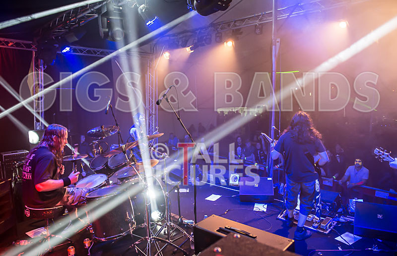 Demise of Sanity-56 - DEMISE OF SANITY