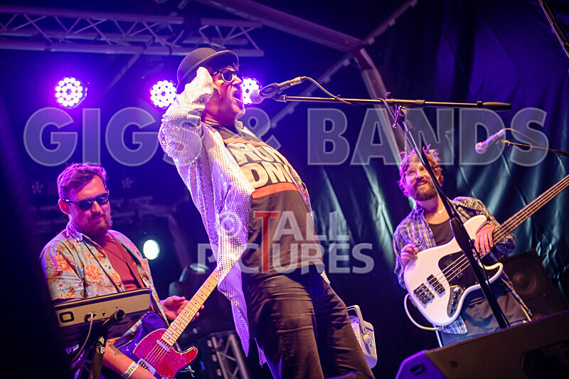 Vale Earth Fair 2020_THE SCENE-85 - VALE EARTH FAIR 2020_THE SCENE