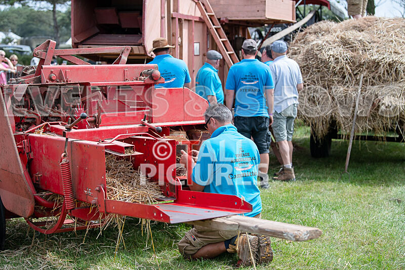 Guernsey Agricultural Show 2021-52 - GUERNSEY AGRICULTURAL SHOW 2021