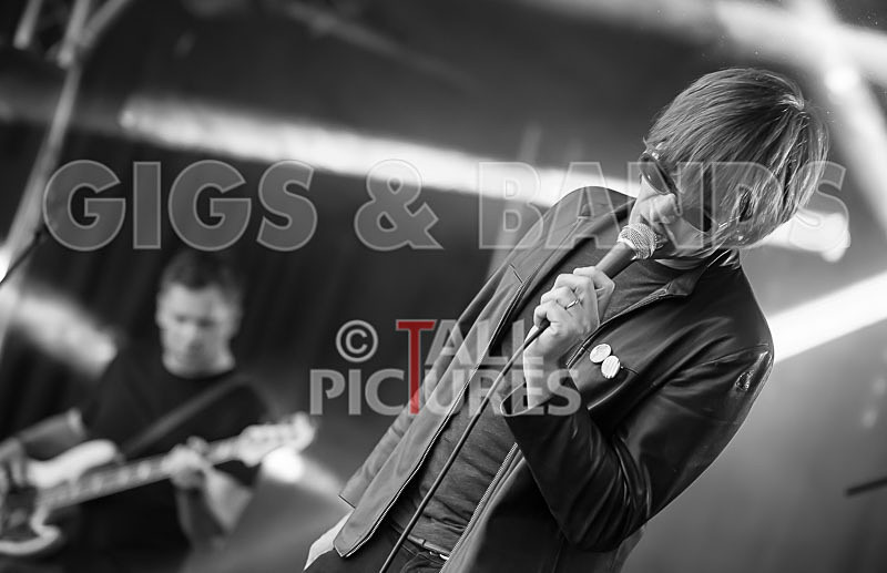 The Cryptics-54 - THE CRYPTICS