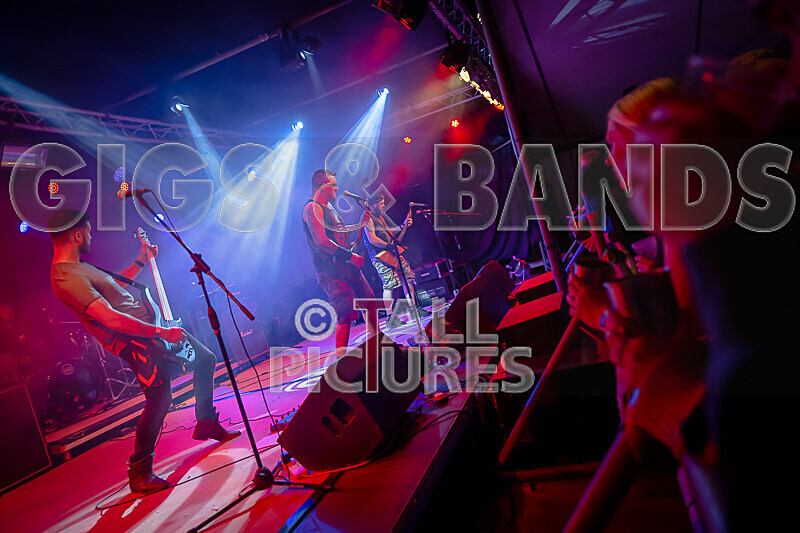 Demise of Sanity-231 - DEMISE OF SANITY